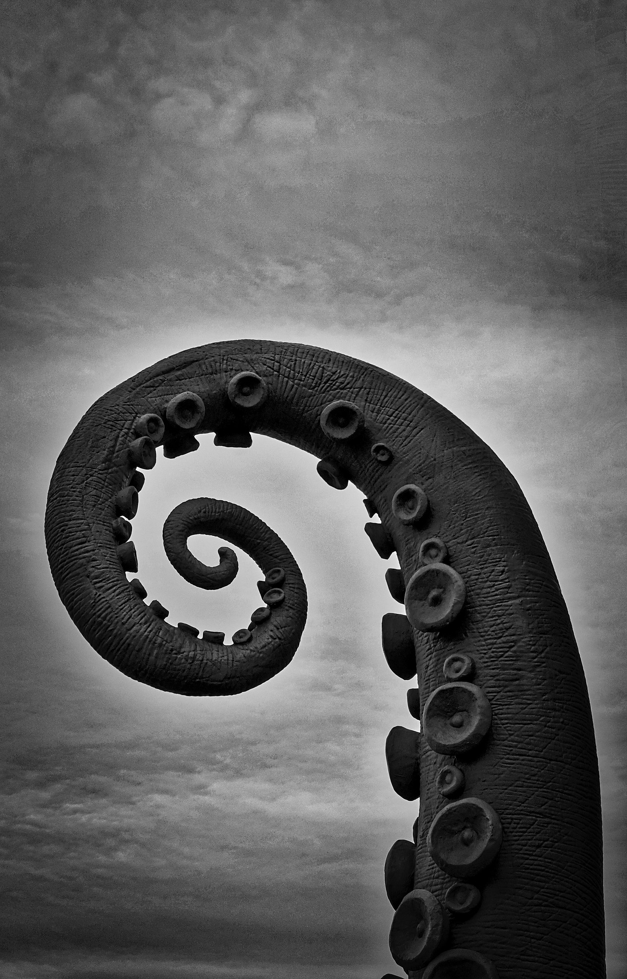 A black tentacle rising and curling out of the water.